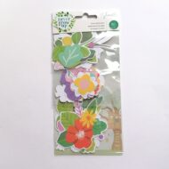 SHIMELLE | DIE CUTS "NEVER GROWN UP"
