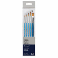 WINSOR & NEWTON | SET DE 5 PINCELES COTMAN